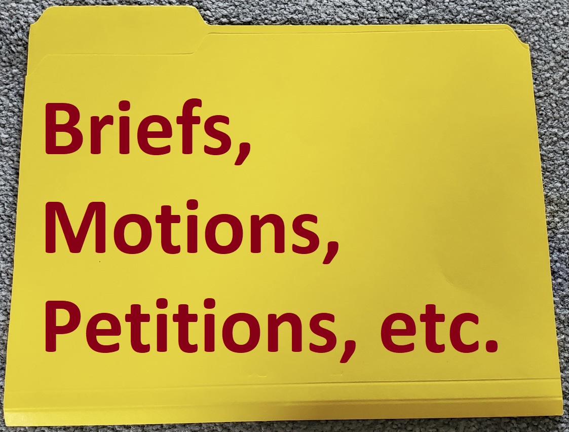 Briefs/Motions/Petitions/Etc.
